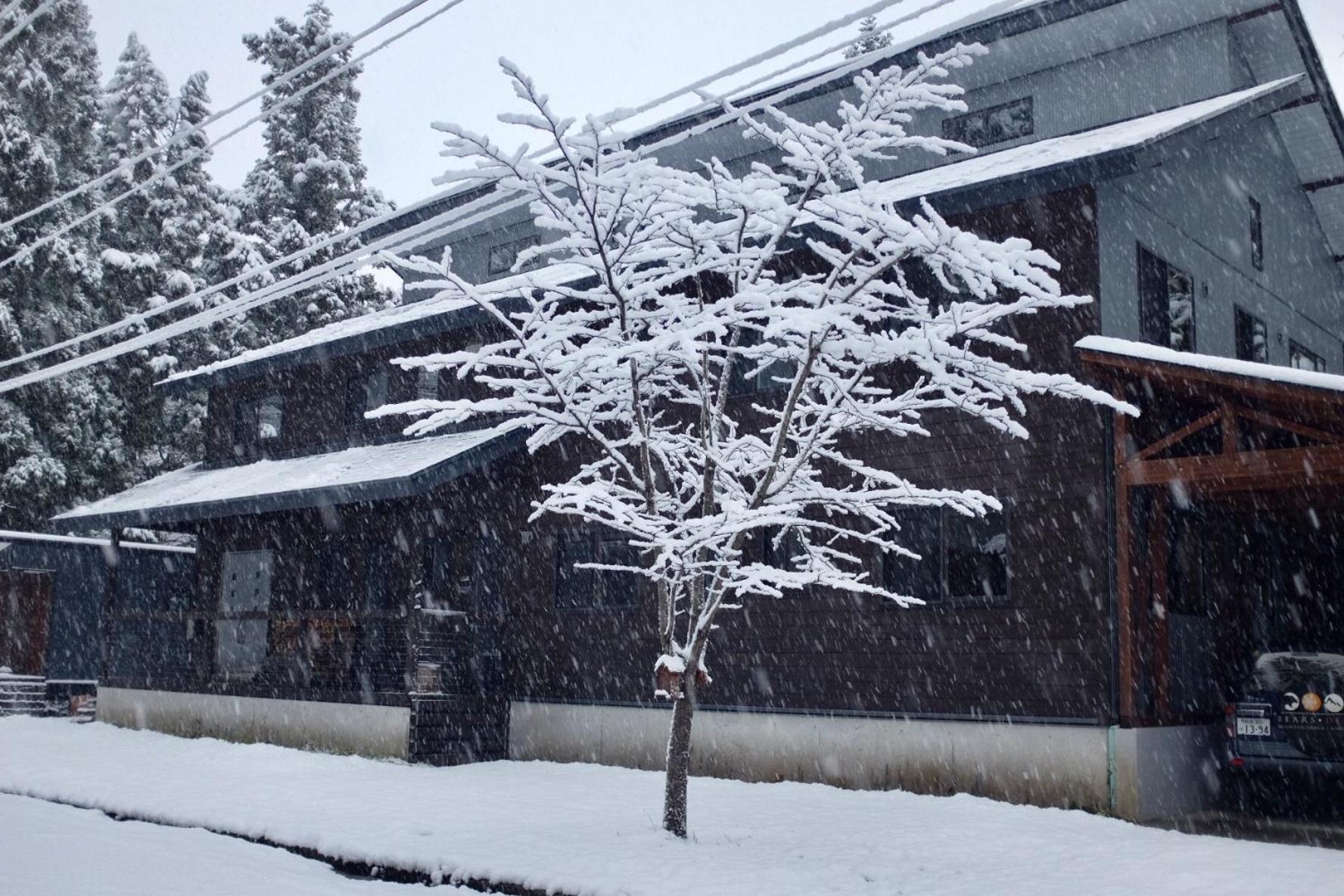 Bears Den Mountain Lodge ฮาคุบะ ภายนอก รูปภาพ